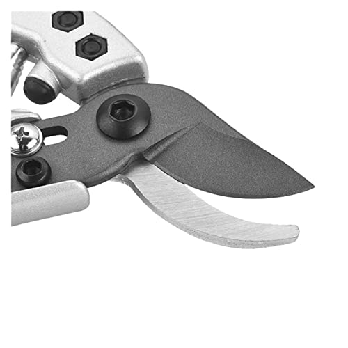 Wdong guihz Pruner Tree Cutter Tuinieren Snoeien Shear Scissor Rvs Snijgereedschappen Set Home Tools Anti-Slip (Color… - Afbeelding 4