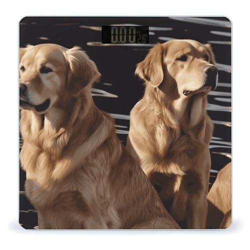 Báscula digital cuerpo Golden Retrievers con pantalla LED
