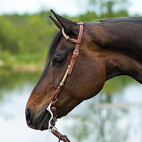 Schneiders Double S Harness Leather Two Ear Headstall with Rawhide | Durable Horse Bridle | Premium Harness Leather | Rawhide Accents | Adjustable Fit | Color Light Oil | Size Full Size