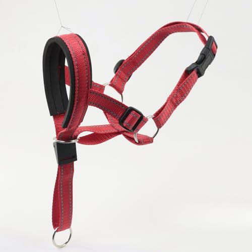 wbhJ[ WFg[_[n[lX  h~   TCY߉ pP pi (S,bh)