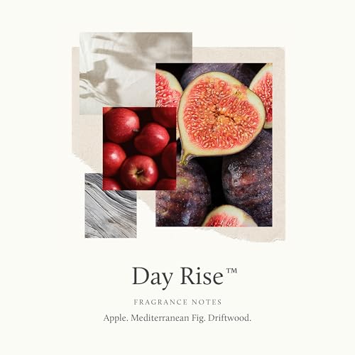 Thymes Scented Candles for Home Decor - Luxury Home Fragrance Gifts for Women & Men (6.5 oz, Day Rise) - Image 4