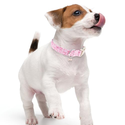 Faygarsle Cute Pink Bow Pattern Dog Collar for Summer Spring DesignSmall Medium Large Dogs M - Image 7