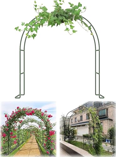 Arco oRp o K[fA[` p[S Ap W80-350cm H220cm 230cm _̓AAp[eB[p (J[: O[ATCY: W260x220cm (W8.5x7.2Ft