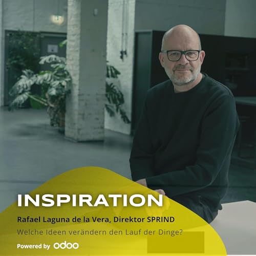 Wie schaffen wir Sprunginnovationen, Rafael Laguna de la Vera? cover art