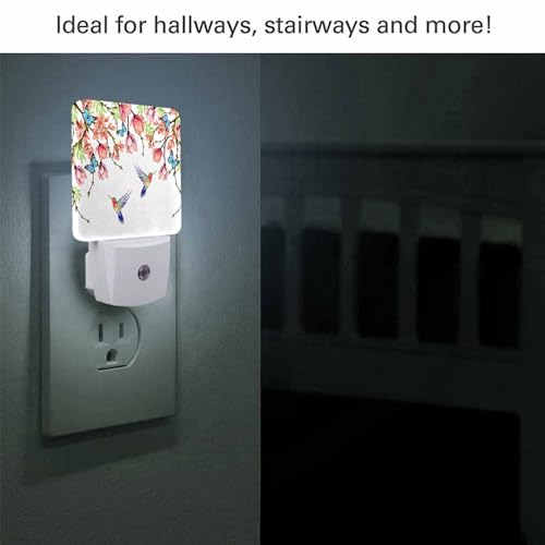 Image of LED Night Light,Summer Hummingbird Butterfly Floral Pattern LED Night Light Plug into Wall with Dusk to Dawn Light Sensor White Energy Efficient Nightlight for Bedroom Hallway Kitchen