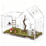 Springspinnengehege – Terrarium aus Acryl belüftet | Lebensraum für Baumwirtschaft, transparent, Käfig, Aufzucht, Wirbellose für Gecko, , Mygale , Mante Schnecke, Pflege Amphibien