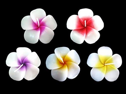 Floating Candles Flower 10 Prices in 1 Set (Plumeria)