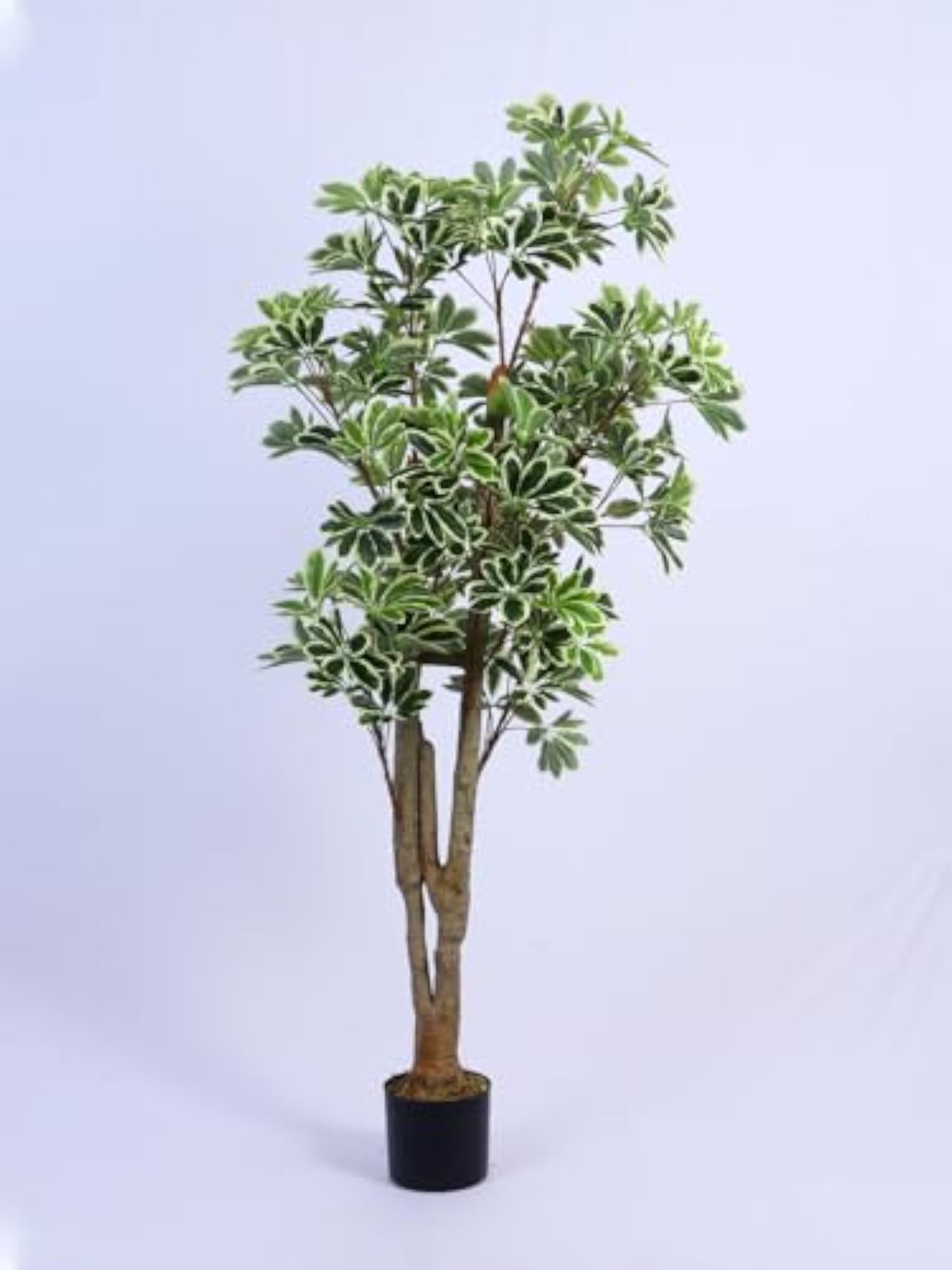 6Ft Artificial Umbrella Schefflera Tree in Pot