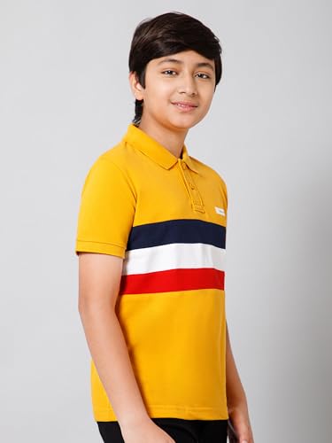 Image of Alan Jones Clothing Boy's Cotton Regular Fit Colorblock Polo T-Shirt