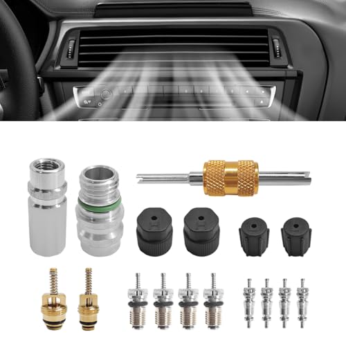 YTFRL Kit de núcleo de válvula de aire acondicionado, válvula de servicio de refrigeración AC R12...