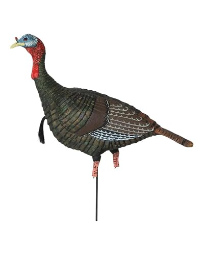 Banded GHG Pro-Grade XD Turkey Hunting Decoys, Upright Jake, Upright Hen, Feeding Hen, Laydown Combo Pack (Laydown Hen/Jake Combo)