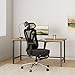 Hbada P5 Ergonomic Office Chair, Desk Chair with Adjustable Lumbar Support and Height, Comfortable Mesh Computer Chair with Footrest 2D Headrest, Swivel Tilt Function Black