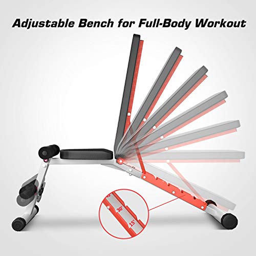 Pelpo Weight Bench for Full Body Workout, Adjustable Workout Bench Press for Home Gym Strength Training, Incline Decline Utility Weight Bench with 6 Positions, Silver Frame