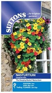 Suttons Seeds: Nasturtium Dayglow Mix Seeds