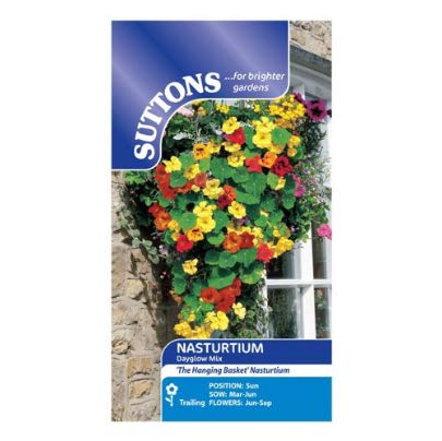 Suttons Seeds: Nasturtium Dayglow Mix Seeds