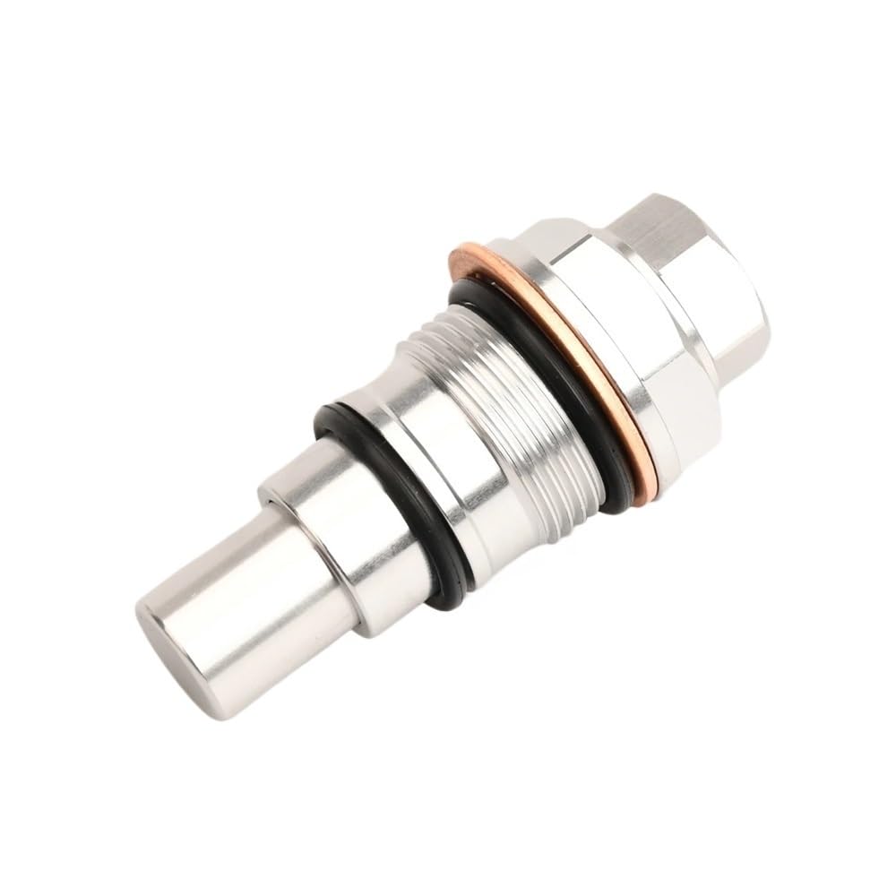 Tendicatena distribuzione for KT 250 350 450 530 EXC EXC-F XC-W XCF SXF SXS-F XCF SIX-DAYS Bullone di fissaggio regolatore moto(Silver)