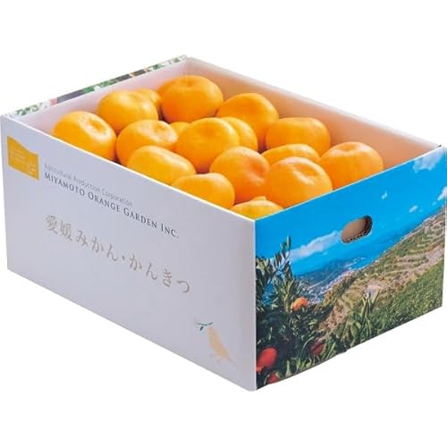 yΕ\z QFaY@B݂iTj y11/27甭Jnz