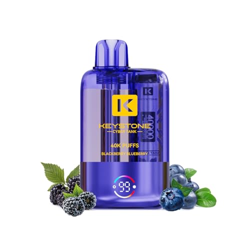 ĝ dq^oR KEYSTONE 40000z\ ^я[d V[V 1100mAh obe[ eʃLbh Type-C[d MTL/RDLΉ ։T|[gVAPE ׂv C΂  lCt[o[ jR`Ȃ ^