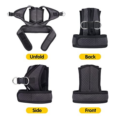 Dotoner Cat Harness And Leash Escape Proof Adjustable Vest For Cats Cat Walking Jacket With Air Mesh Harness And Running Cushioning Easy Control Outdoor Vest #TOP3