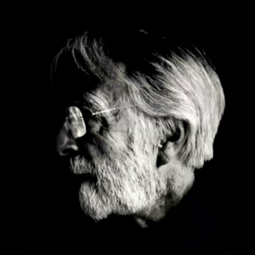 042.打扰｜哈内克在看着我们