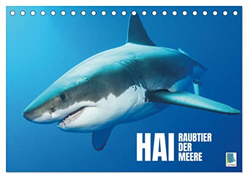 Hai: Raubtier der Meere (Tischkalender 2023 DIN A5 quer): Haie: Der Fluch des Films 