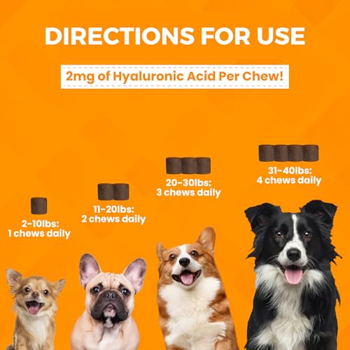 Image of Progility Mini Hip & Joint Supplement for Small to Medium Dogs - Daily Mobility & Joint Support with Glucosamine, Chondroitin & MSM, Soft Chews (60 Count)