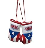 Puerto Rico Pride Mini Boxing Gloves
