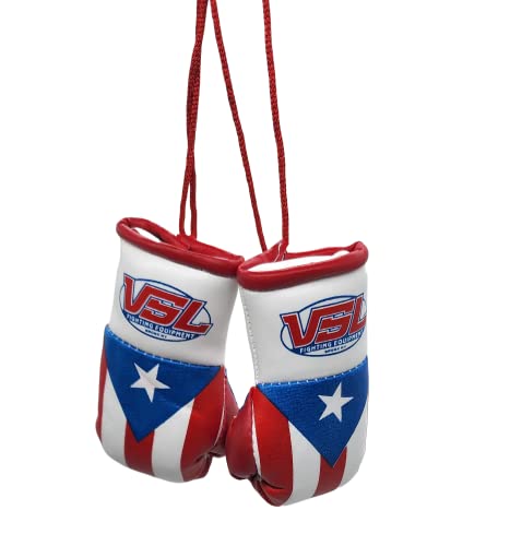 Puerto Rico Pride Mini Boxing Gloves