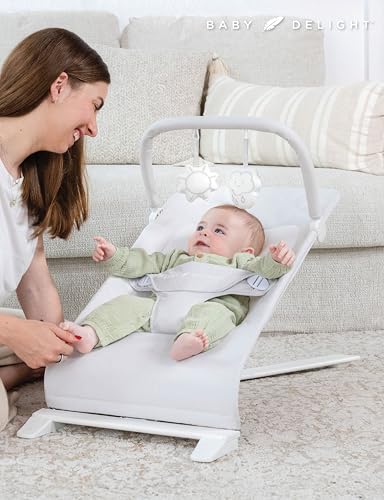 Image of Baby Delight Alpine Deluxe Portable Bouncer, Driftwood Grey | For Infant 0 - 6 months, 3-Position Recline, 3-Point Safety Harness, Removable & Washable Cover, Detachable Toy Bar