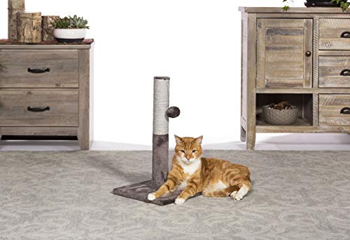 Prevue Pet Products Kitty Power Paws Play & Scratch gris miniatura 5