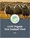 GroundLuxe Premium New Zealand Wool Dryer Balls - 6-Pack, 100% Organic, Hand-Felted, Reusable, Reduce Drying Time - Natural Fabric Softening, Wrinkle & Static Reduction