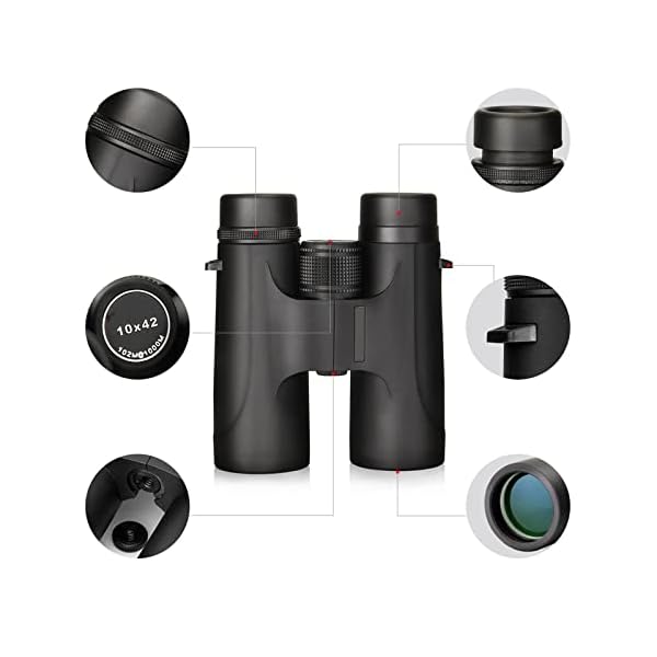 Fernglas 10x42 Kompakt Testsieger Teleskop Breites Sichtfeld GroßEs Okular Fernglas FüR Erwachsene Jagd Wandern Reisen – Bild 3