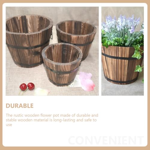 Pot en bois pour succulentes évitant la monotonie des bureaux