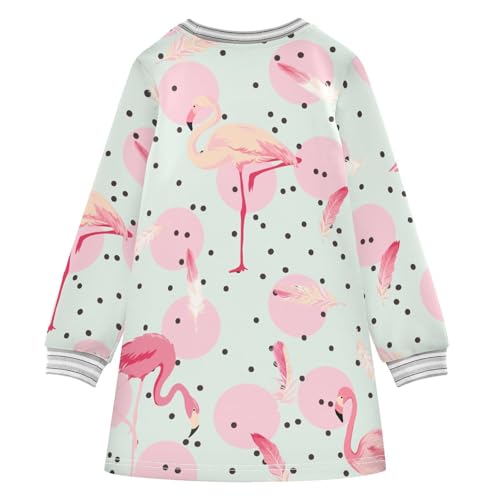 Flamingo Dot Girls Dresses Long Sleeve Sweatshirt Dress for Girls Winter Toddler Casual A Line Dresses Size 2-8T2