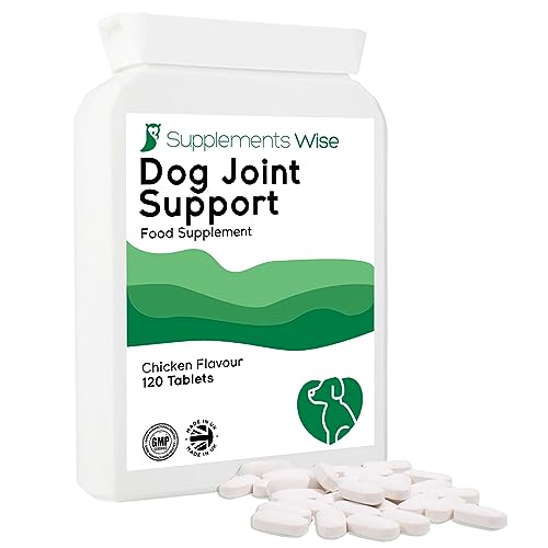 Best senior dog food for arthritis Life My Dog
