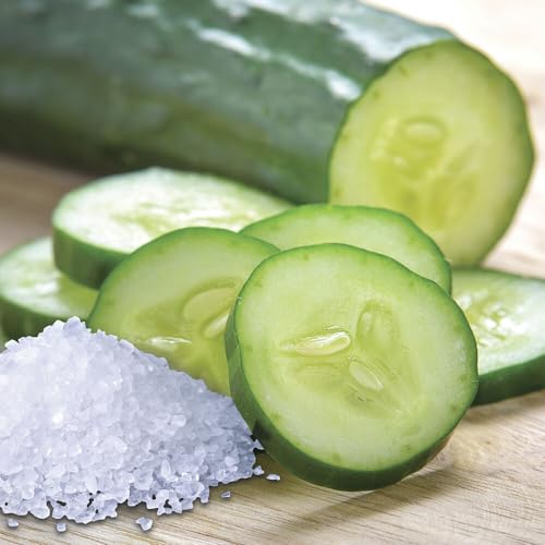 Village-Candle-Sea-Salt-Cucumber-Large-Glass-Apothecary-Jar-Scented-Candle-2125-oz-Light-Green Village Candle Sea Salt Cucumber Large Glass Apothecary Jar Scented Candle 2125 oz Light Green