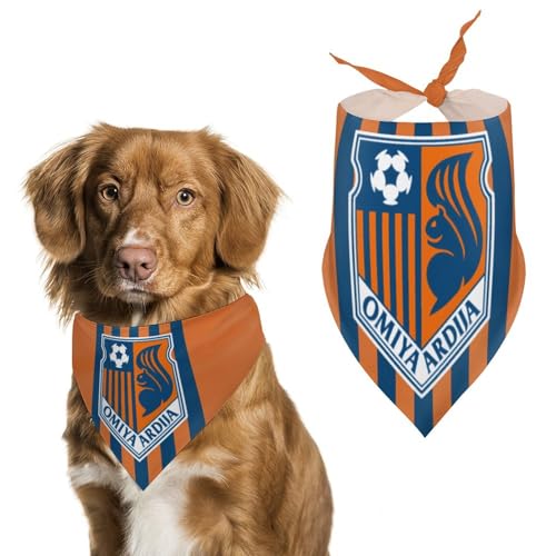 {AfB[W p}t[ ybgpOp  Xk[h ybg _炩 킢 pt^I ybgpi