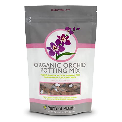 7 Best Potting Mix For Orchids Reviews + Guide