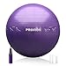 PROIRON Pelota de Pilates con Patrón de Pose Fitball 65cm Pilates Pelota Embarazo (Púrpura)