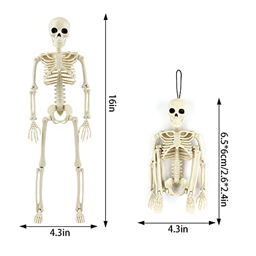 Ccinee Halloween Skeleton Decoration,Full Body Posable Joint Haning Skeletons For Halloween Party Decor,15",Pack Of 2 #TOP1