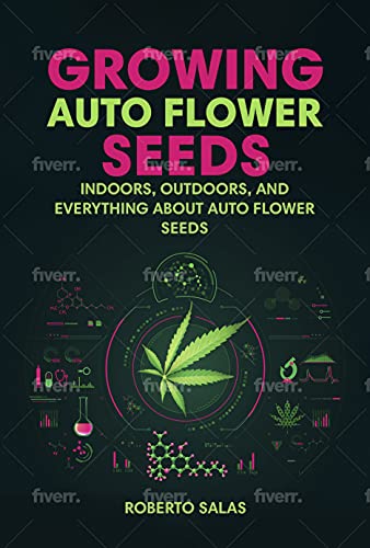 growing autoflower seeds: indoors