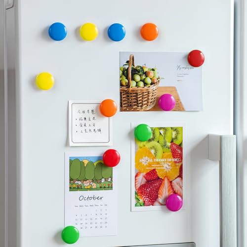 Pack de 12 imanes redondos para refrigerador coloridos miniatura 4