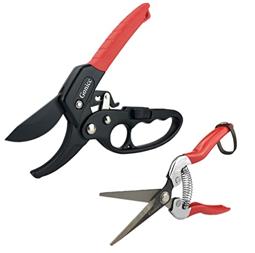 Tijeras de podar Gonicc 8 pulgadas 2 piezas miniatura 1