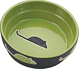 Ethical Pet Products (Spot) CSO6898 Fresco Cat Dish, 5-Inch, Green