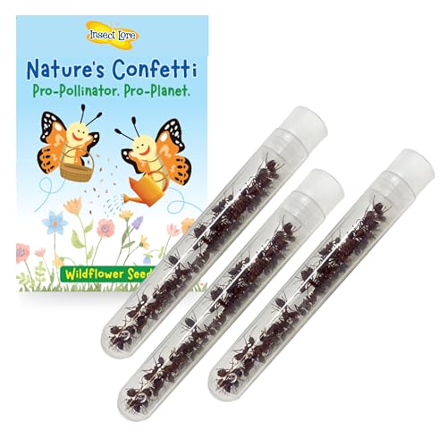 Insect Lore 75 Native Western Harvester Ants - Live Ants for Ant Habitat - Includes Wildflower Seeds