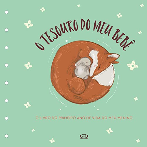 Tesouro do meu bebê: o livro de recordações (capa verde)