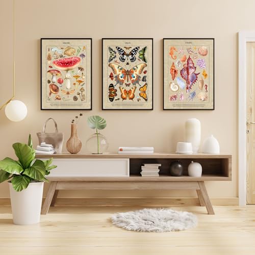 Image of Yellow Town India Vintage Botanical Wall Posters, Set of 3 A3 Prints, 29.7 x 42 cm, Frameless Art with Adhesive, Fungi Mushroom, Butterfly, Seashell Theme