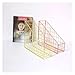 KAJHSTLOZ Iron Grid File Holder Simple Single Layer Desk Shelf Magazine Book Storage Rack Home Office Stationery Organizer(Golden)