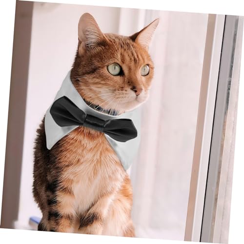 Collier pour chien nœud papillon confortable accessoire mignon