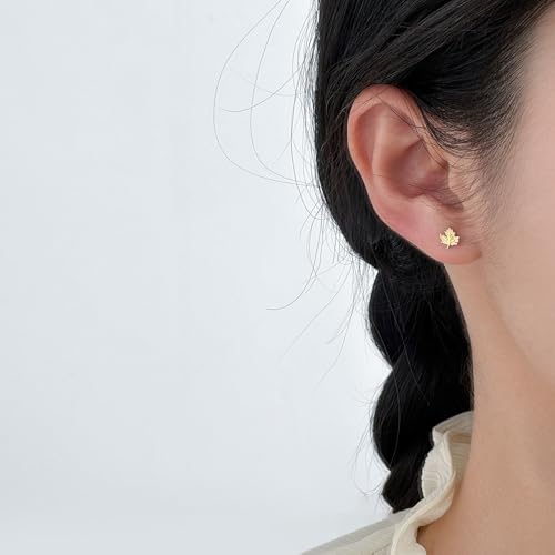 20g Cute Maple Leaf Stud Earrings 925 Sterling Silver Screw Black for Women Leaves Tiny Cartilage Statement Earring Prom Wedding Bridal Autumn Piercing Body Jewelry Gift Fall Thanksgiving Xmas2
